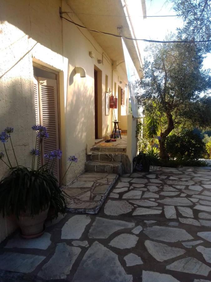 Anemos Studios Vasilias  Exterior photo